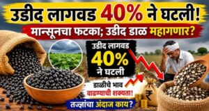 Urad Dal Price Hike