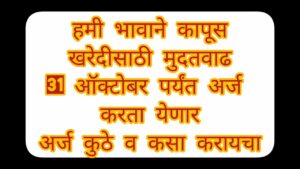 हमीभावाची संधी: शेतकऱ्यांना सीसीआयमार्फत कापूस किमान आधारभूत किमतीवर विकण्याची संधी.